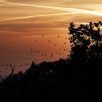 Sonnenuntergang mit Blick vom Großvaterfelsen in Blankenburg