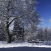 Schneebedeckte Bäume bei der Wilhelm-Raabe-Warte in Blankenburg